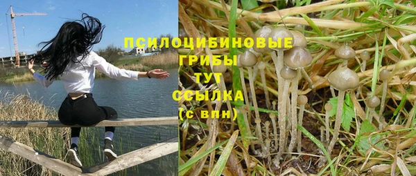 мдпв Верхний Тагил