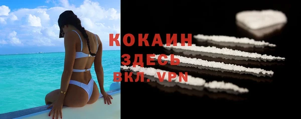 дживик Волоколамск