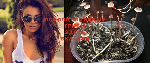 дживик Волоколамск