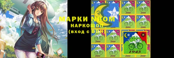 мдпв Верхний Тагил