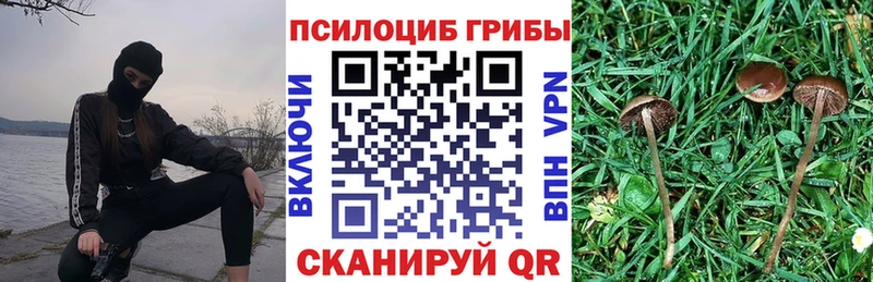 Галлюциногенные грибы Magic Shrooms  цена наркотик  Каменногорск 